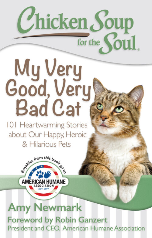 Chicken Soup for the Soul book cover image